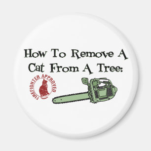 Íman Como remover um gato de uma árvore…