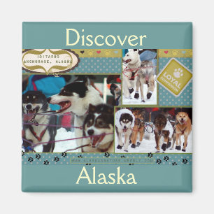 Íman Companheiros leais de Iditarod