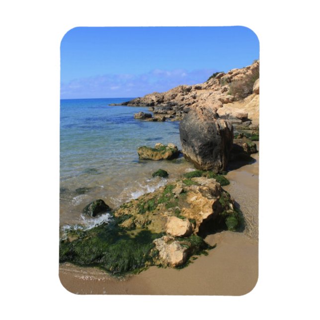 Íman Compartimento Coral (Vertical)