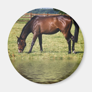 Íman Compartimento de Reflexão