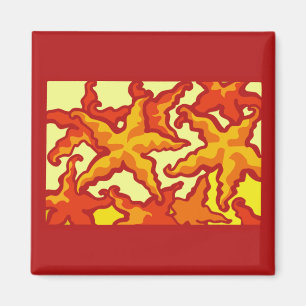 Íman Composição da estrela do mar