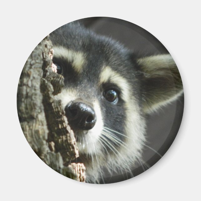 Íman Comprado (Frente)