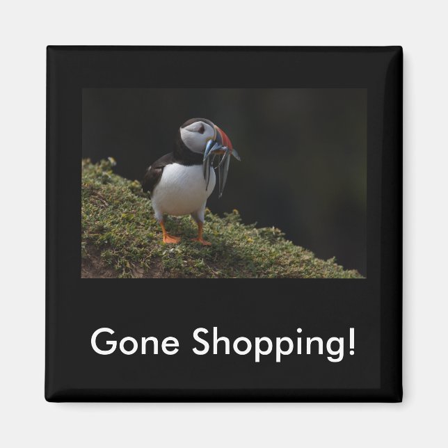 Íman Comprou o Fisher Puffin Magnet (Frente)