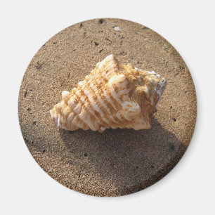 Íman Conch Seashell Sand Beach Magnet