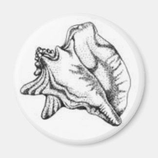Íman Conch Shell