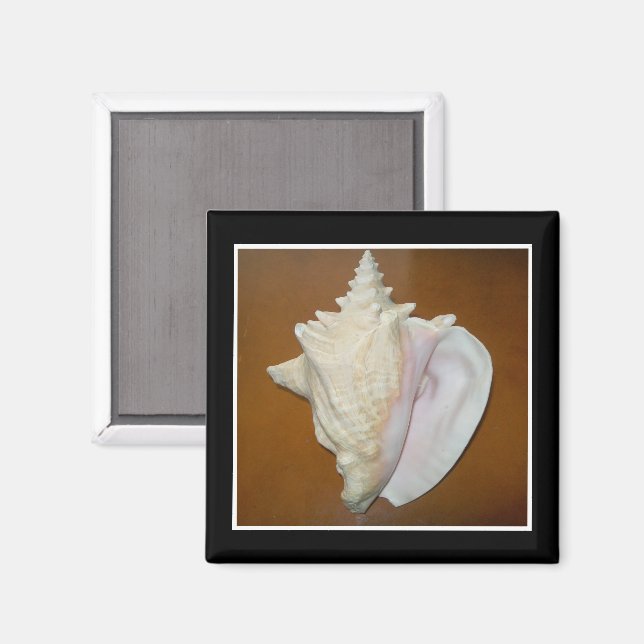 Íman Conch Shell Magnet (Front/Back)