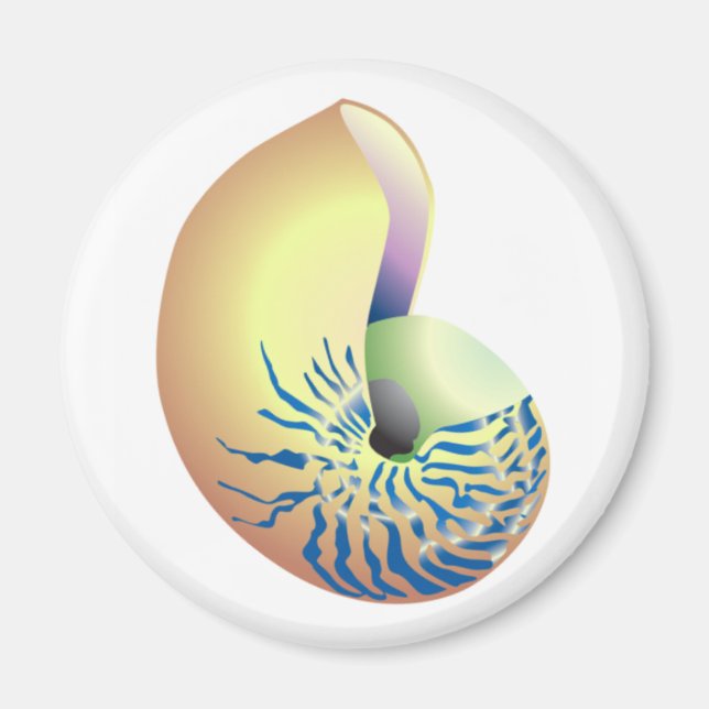 ÍMAN CONCHA (Frente)