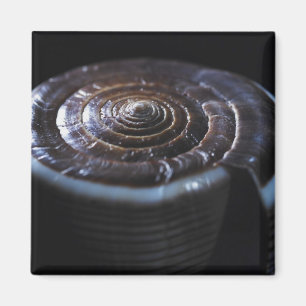 Íman Concha de Cone