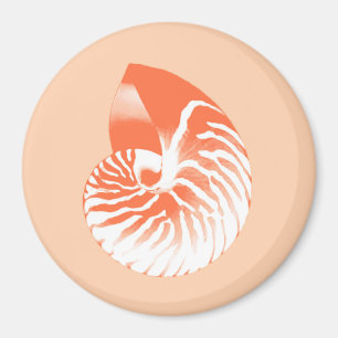 Íman Concha de Nautilus - laranja coral e branco