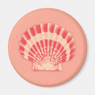 Íman Conchas marítimas - coral e pêssego