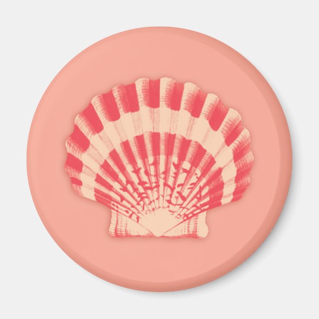Íman Conchas marítimas - coral e pêssego (Frente)