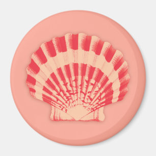Íman Conchas marítimas - coral e pêssego