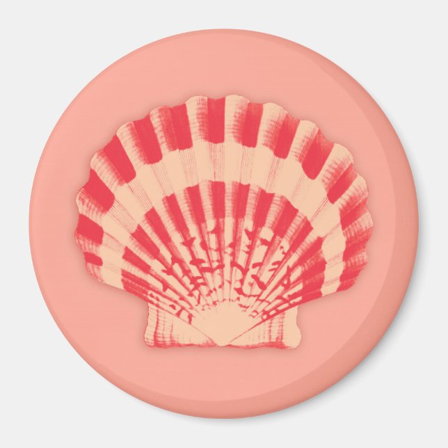 Íman Conchas marítimas - coral e pêssego (Frente)