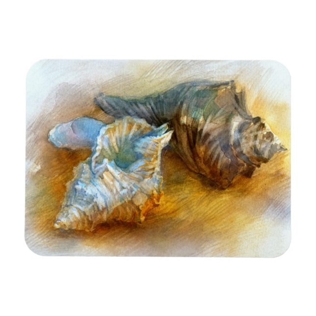 Íman Conchas na praia (Horizontal)