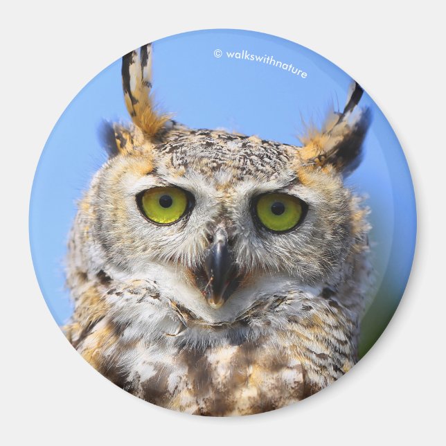 Íman Concurso inaugural com uma bela coruja Excelente (Frente)