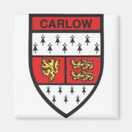 Íman Condado de Carlow Irlanda