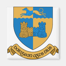 Íman Condado de Longford Irlanda