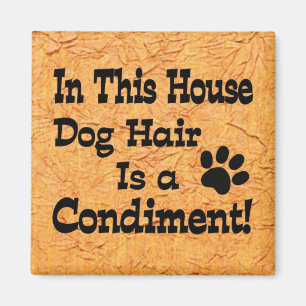 Íman Condimento de Cabelo de Cachorro