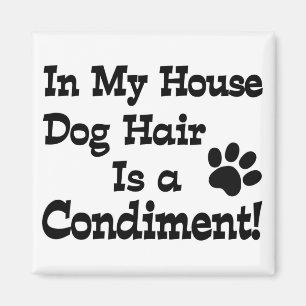 Íman Condimento de Cabelo de Cachorro