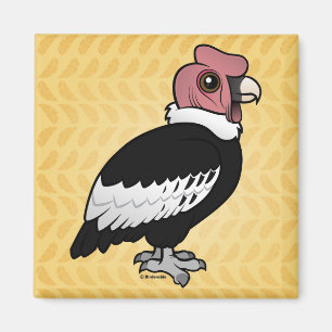 Íman Condor andino