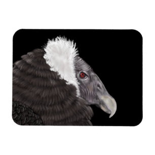 Íman Condor Andino Ilustrado