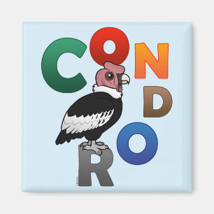 Íman Condor colorido