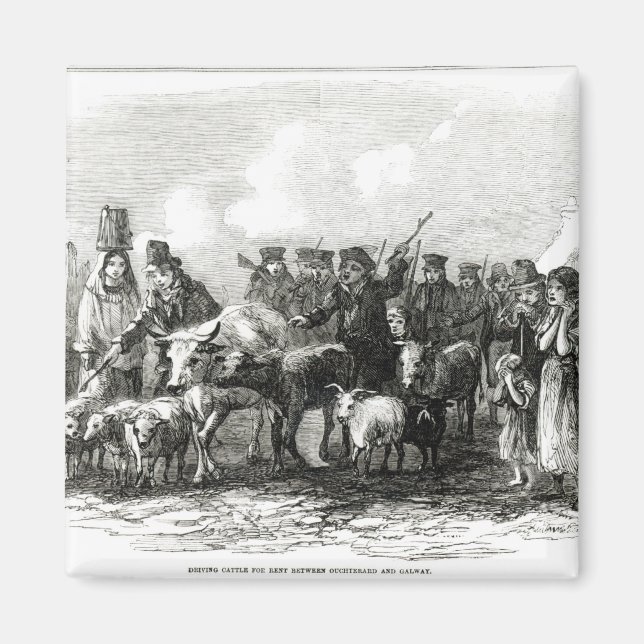 Íman Condução de Bovinos para Rendas (Frente)