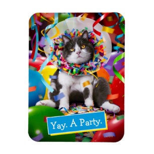 Íman Cone de Festas de Cat In