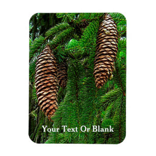 Íman Cones E Agulhas