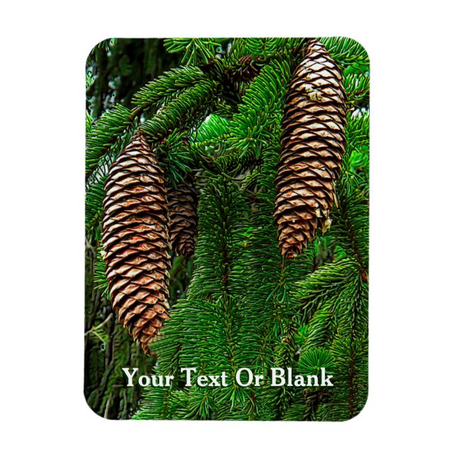 Íman Cones E Agulhas (Vertical)