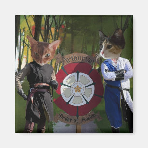 Íman Conexão francesa AOA