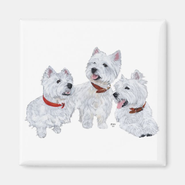 Íman Conferência de Westie (Frente)