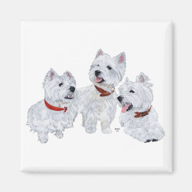 Íman Conferência Westie (Frente)