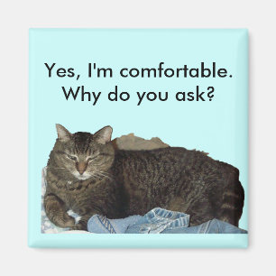 Íman Confortável no ímã do gato da lavanderia