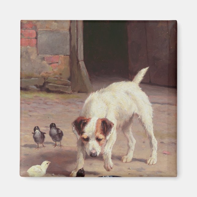 Íman Confrontação (Frente)