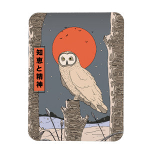 Íman Conhecimento e Sabedoria