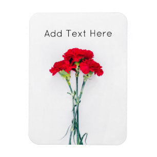 Íman Conjunto de Flores Vermelhas