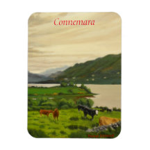 Connemara Ireland Scenical Cattle Fazenda com Cava