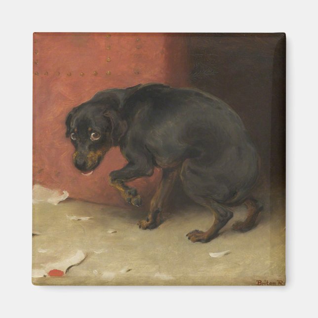 Íman Consciência Faz Borricas De Todos Nós (Frente)