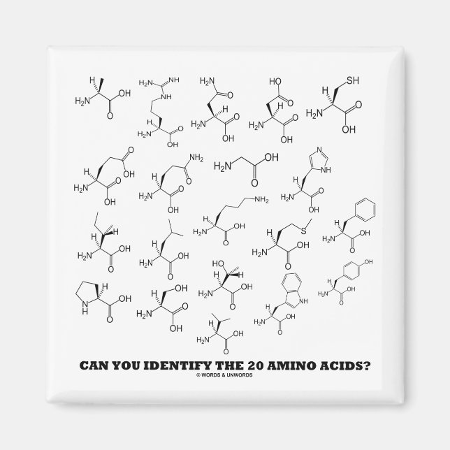 Íman Consegue Identificar Os 20 Aminoácidos? Química (Frente)