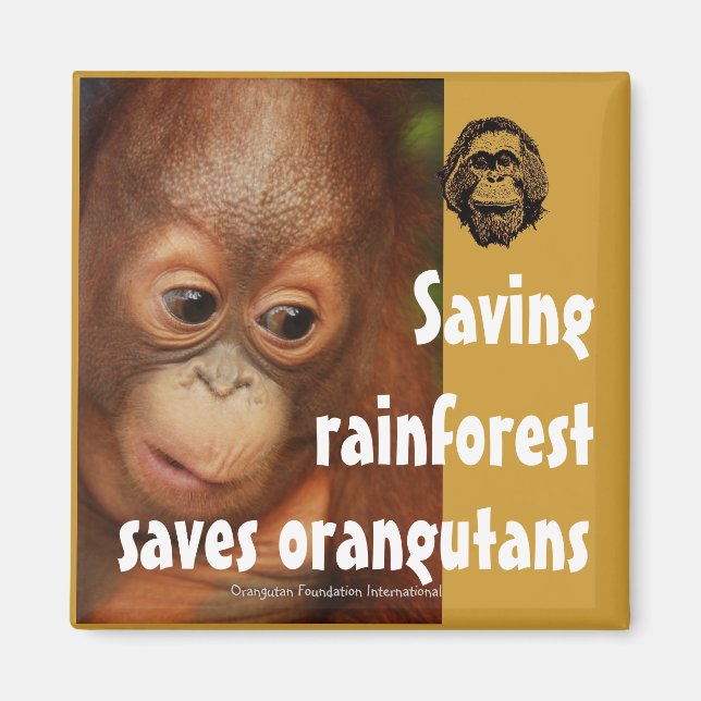 Íman Conservação (Frente)