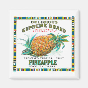 Íman Conservas de ananás supremo