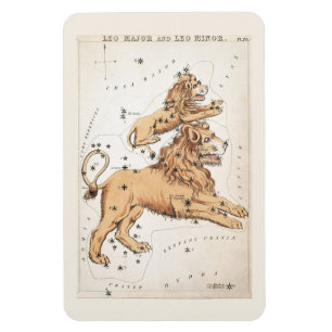 Íman Constelação Celestial Leo