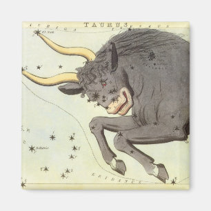 Íman Constelação de Bull do Taurus da astrologia do