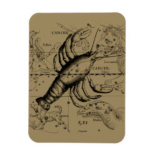 Íman Constelação de cancer por Hevelius cerca de 1690