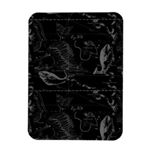 Íman Constelação de peixes Hevelius 1690 em preto