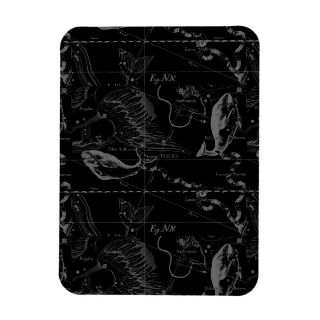Íman Constelação de peixes Hevelius 1690 em preto (Vertical)