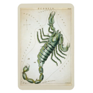 Íman Constelação Scorpio