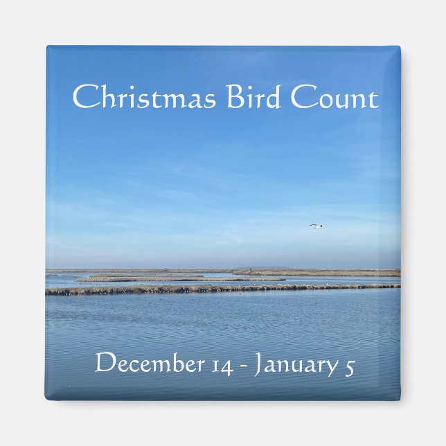 Íman Contagem de Aves de Natal (Frente)