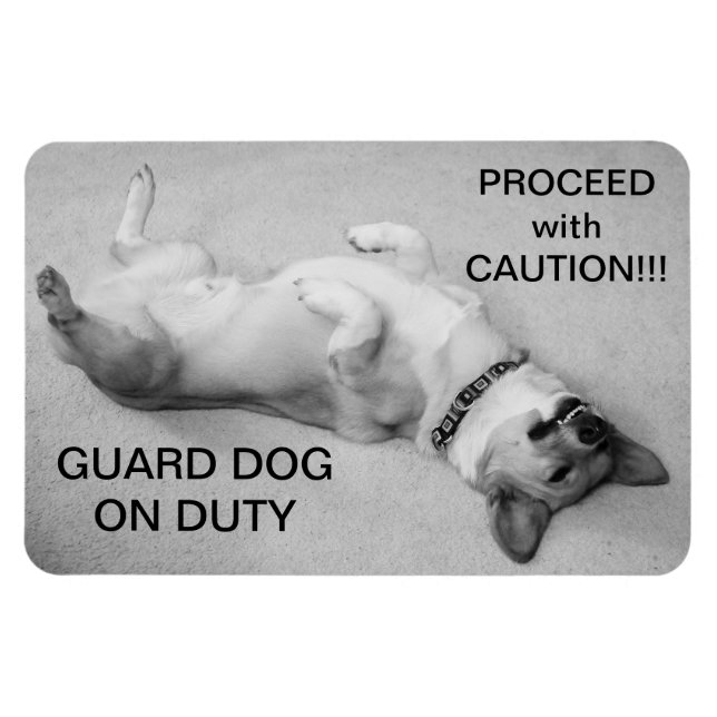 Íman Continue com o Magnete de precaução (Horizontal)